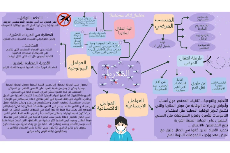 صورة الغلاف