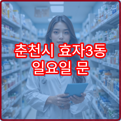 춘천시 효자3동 일요일 문 여는 약국 당번 확인하기