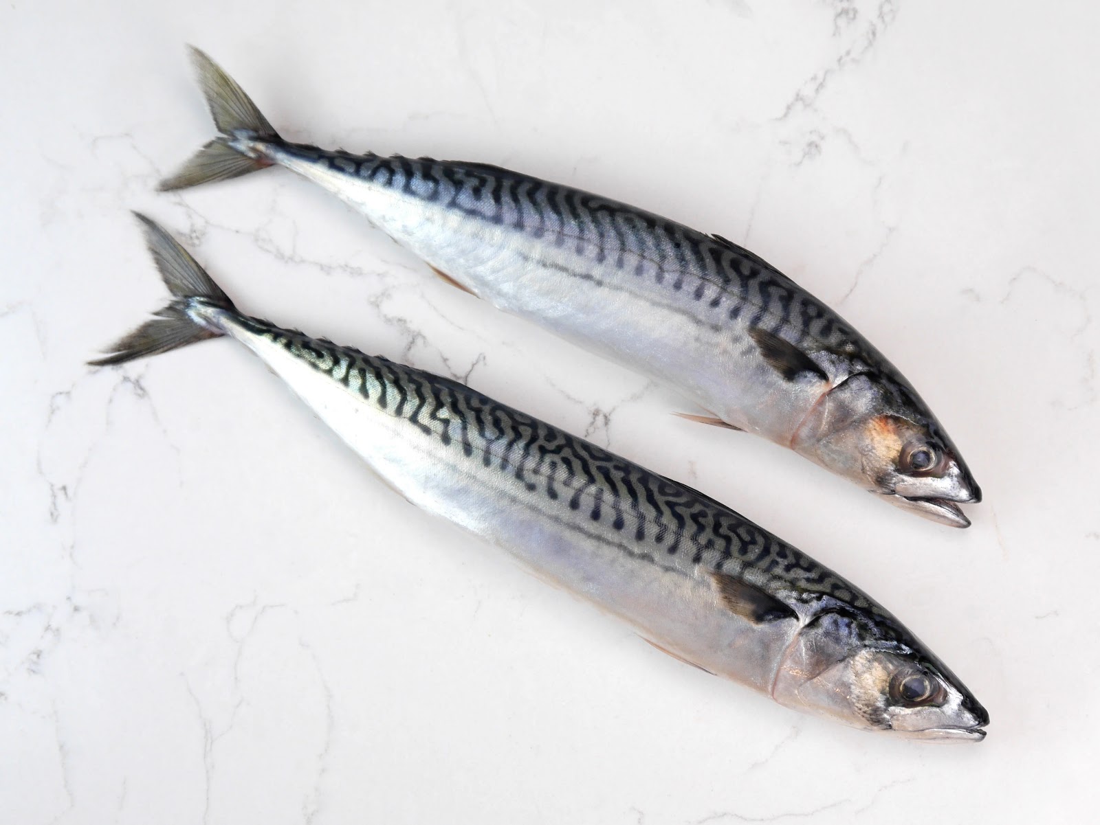FROZEN MACKAREL
