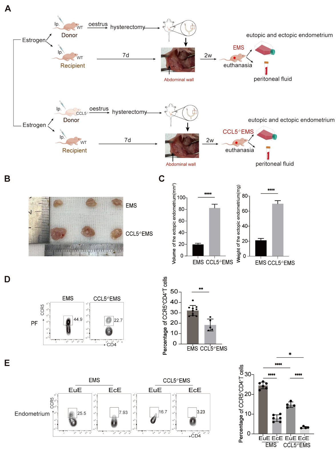 Decreased CCL5 expression in endometrial stromal cells induces deficient CCR5+CD4+ T cells in endometriosis