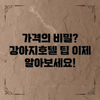 강아지호텔가격, 강아지호텔비교, 강아지호텔선택, 초보자 가이드, 애완동물 관리