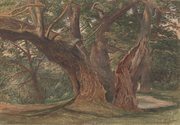 Trees in a Landscape ca 1842   1880