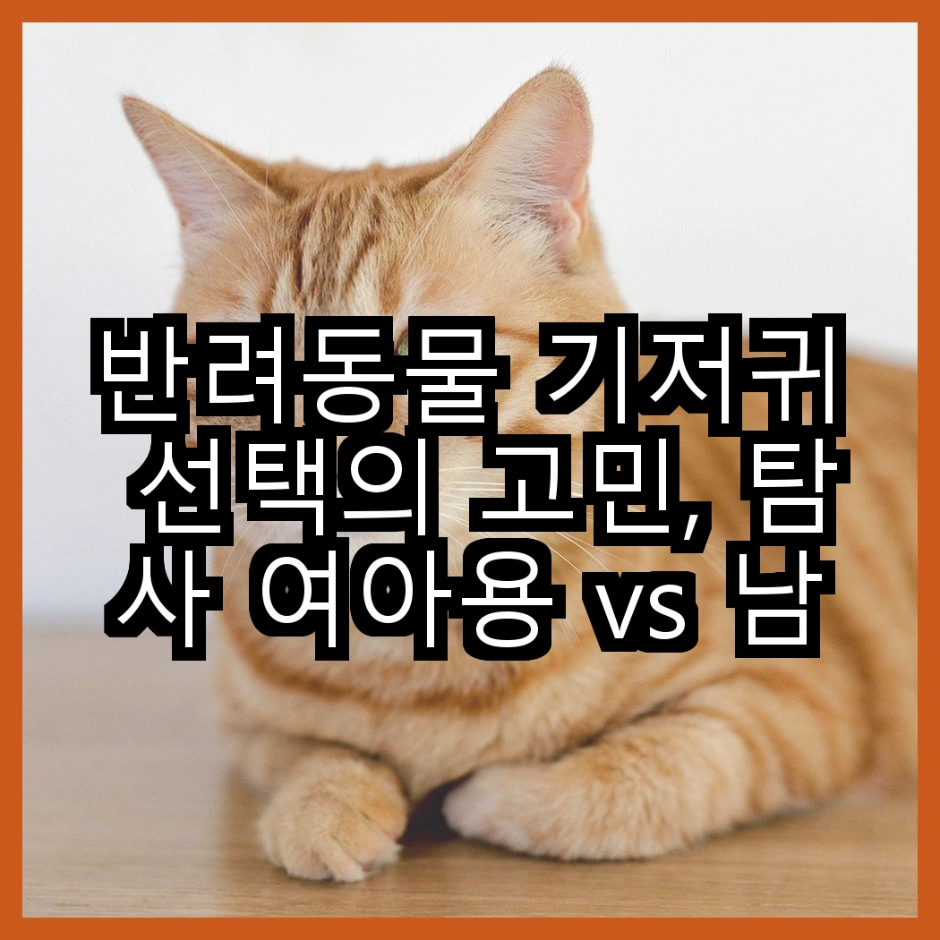 반려동물 기저귀 선택의 고민, 탐사 여아용 vs 남아용 기저귀, 어떤 차이가 있을까? 썸네일