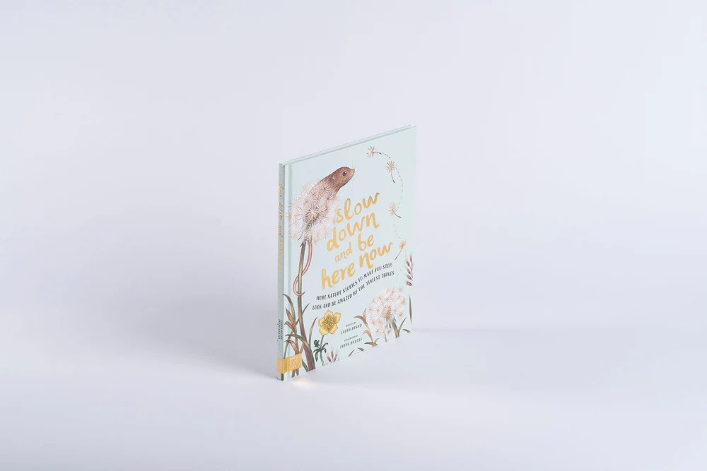 Slow Down and Be Here Now - thumbnail 3