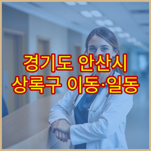 경기도 안산시 상록구 이동·일동 일대 설날 명절 연휴 당직약국 주거단지·상업지역 주변 심야 응급약 판매 약국