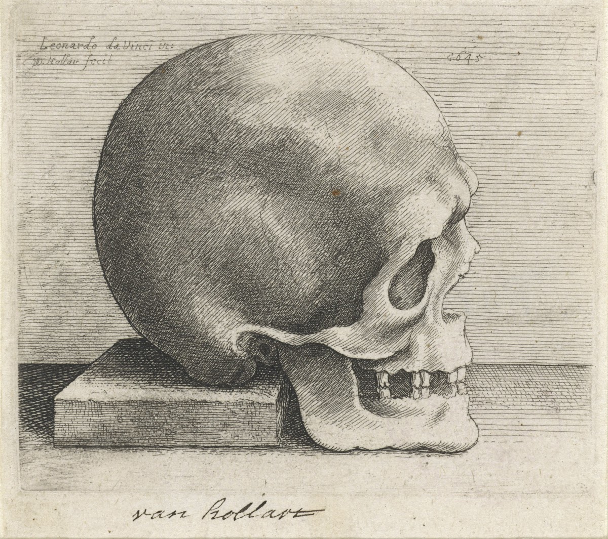 Anatomische studie van een schedel 1645