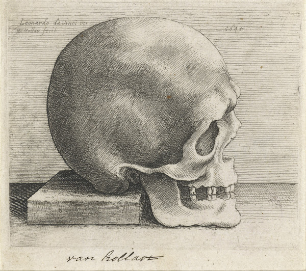 Anatomische studie van een schedel 1645