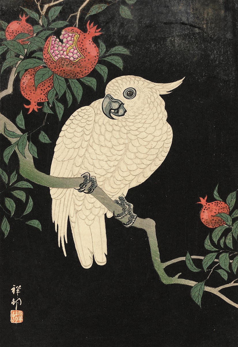 Cockatoo And Pomegranate 20th Century