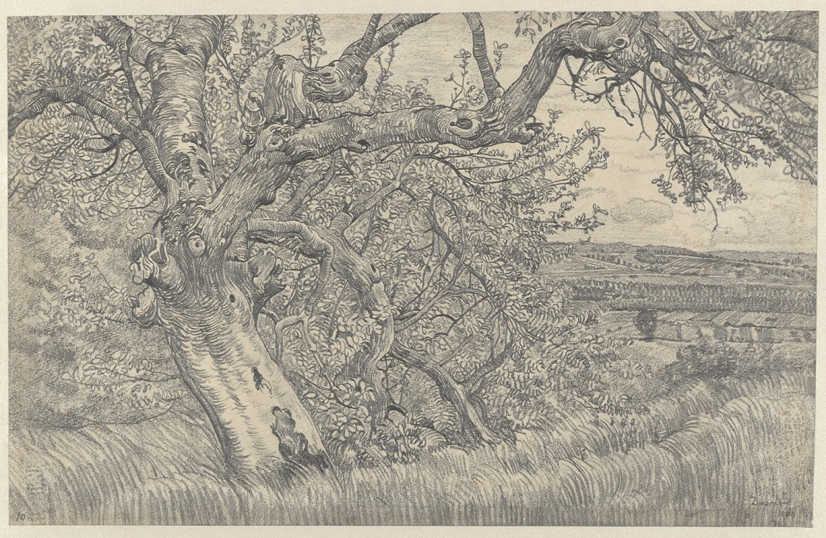 Oude boom in glooiend landschap 1903