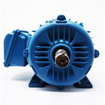Motor trifásico 5 Hp Weg