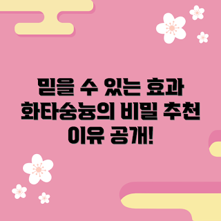 화타숭늉 효과, 건강 음료, 면역력 강화, 겨울 건강, 2023 추천 음료