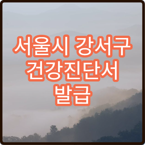 서울시 강서구 건강진단서 발급 비용 당일 발급 가능한 병원 정보 정리