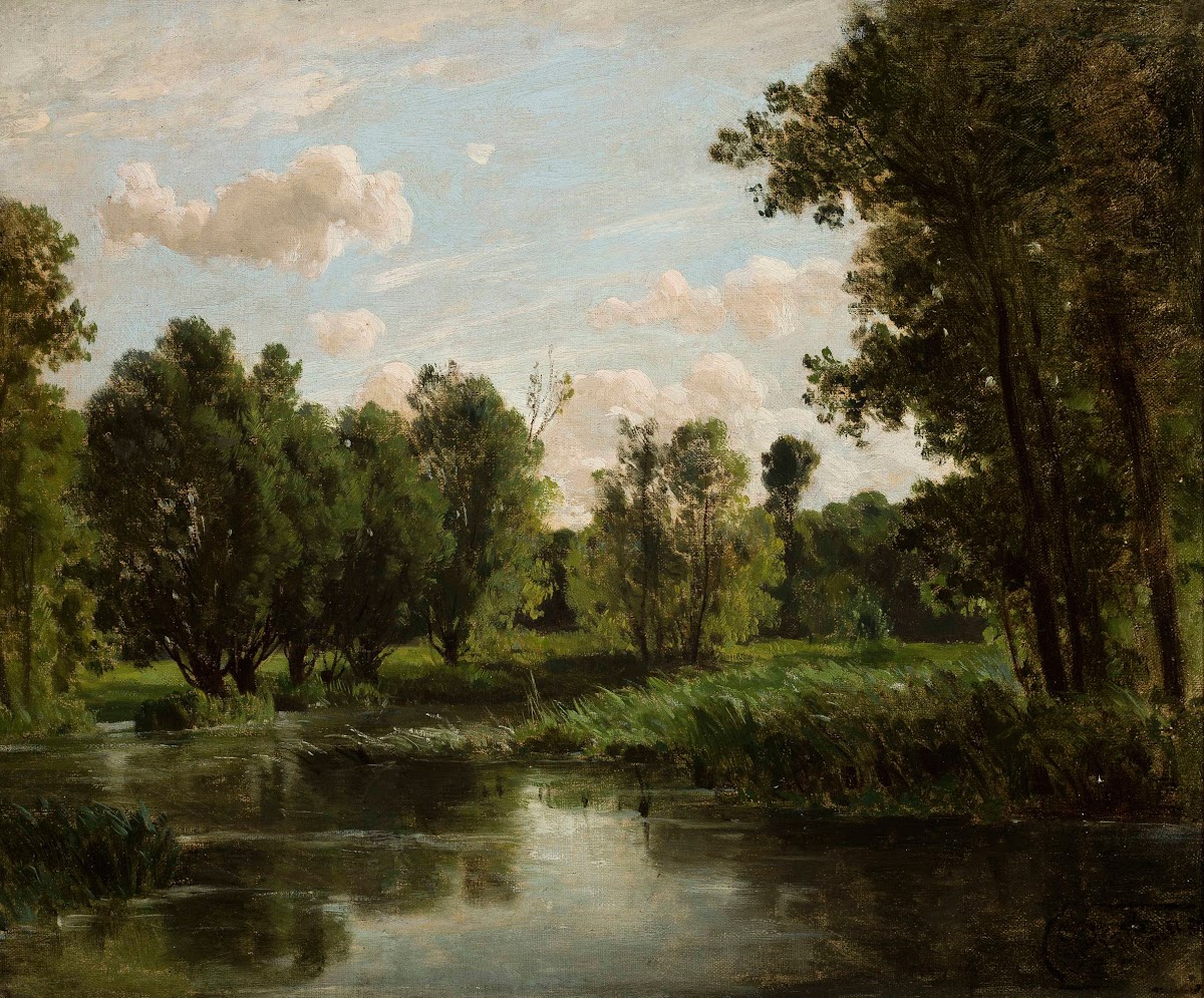 Lake in the forest