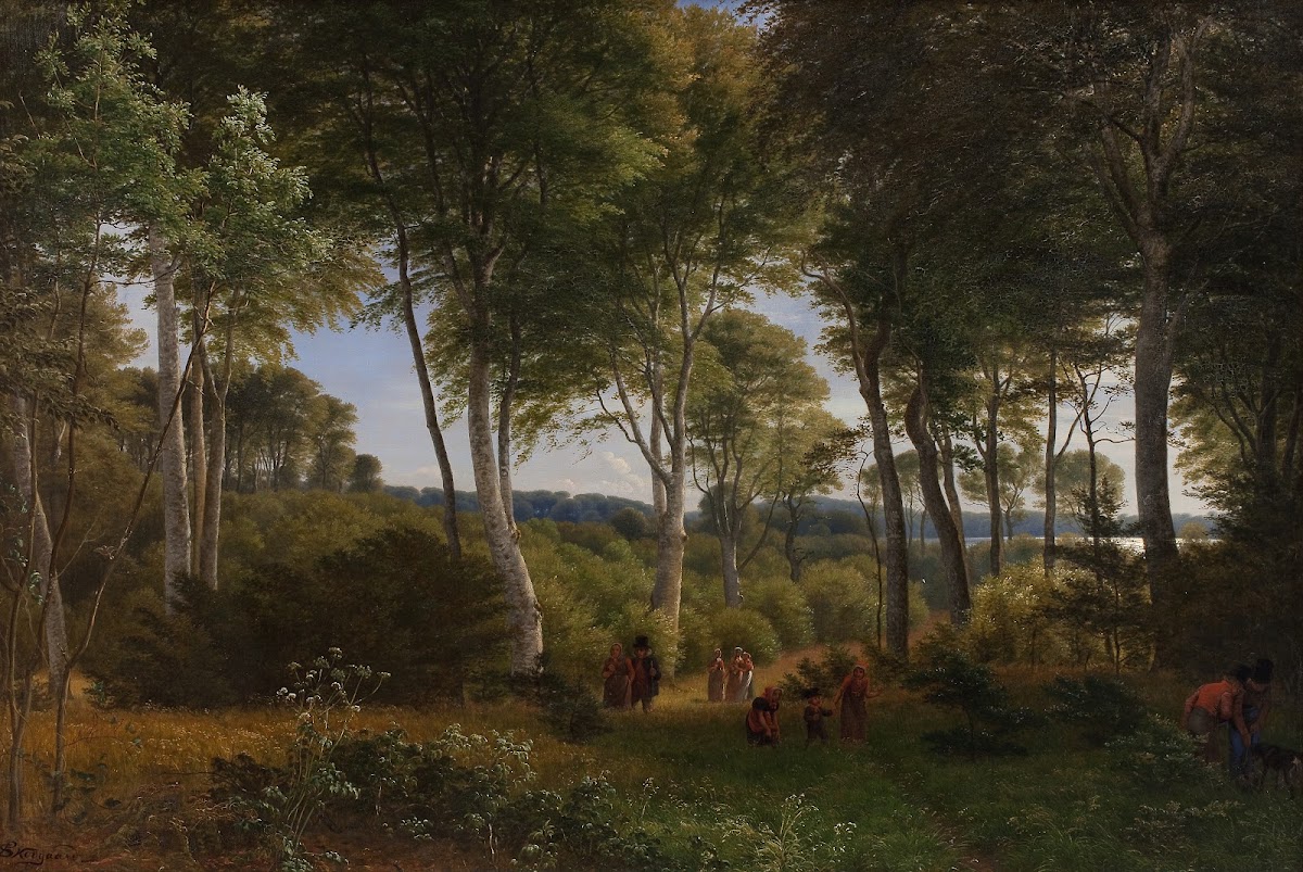 Delhoved Wood near Lake Skarre Zealand Afternoon Light 1846   1847