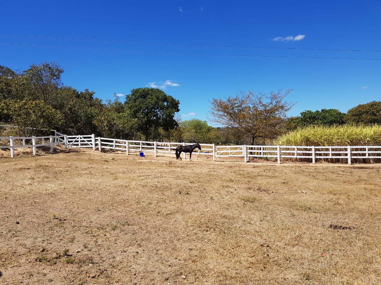 Fazenda em Niquelândia - GO 9