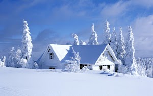 Winter Nature Wallpaper