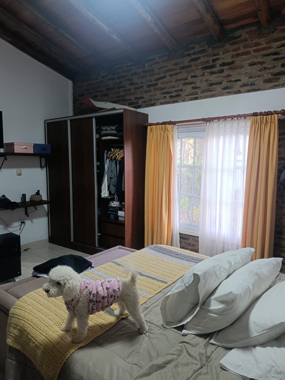 Foto 6
