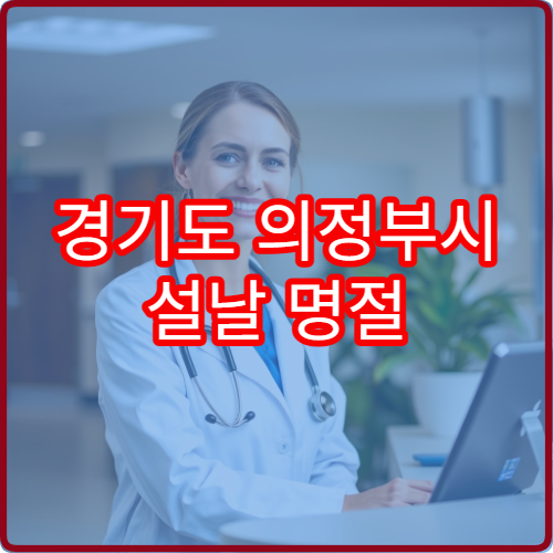 경기도 의정부시 설날 명절 정형외과 연휴 진료 병원 관절염·허리디스크·근육통 치료 가능
