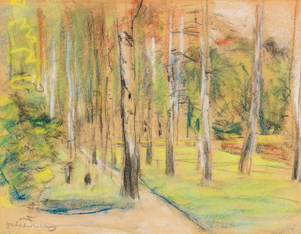 Die Birkenallee in Wannsee nach Nordwesten 1920