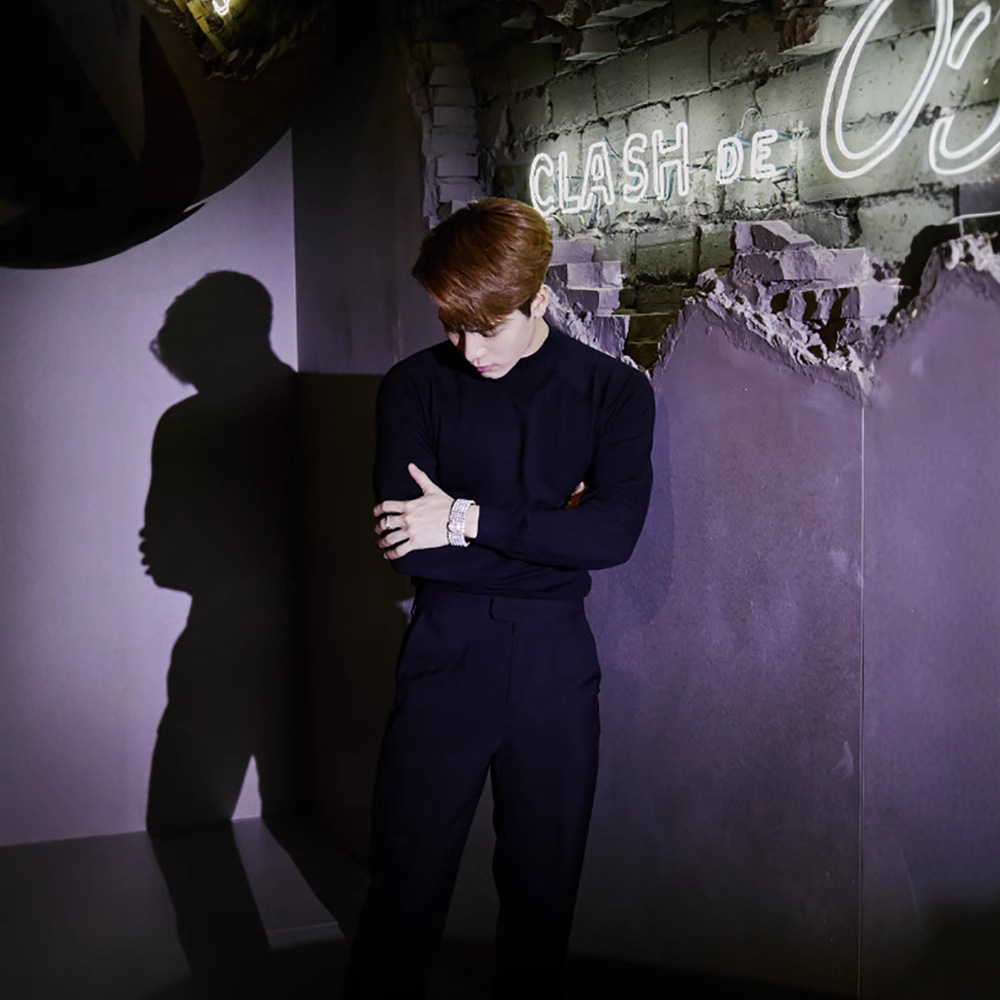 Men's pullover with stand-up collar, fitted