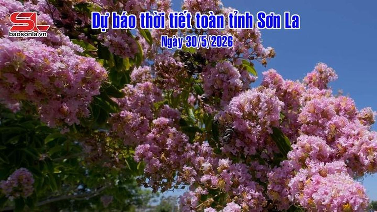 Dự báo thời tiết toàn tỉnh Sơn La ngày 30/5/2026 - Báo Sơn La