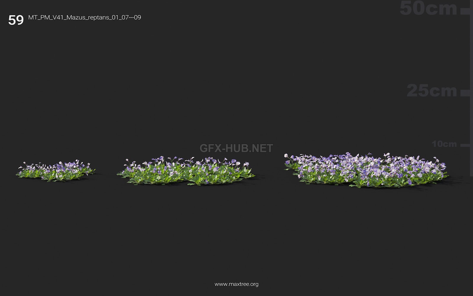 Maxtree - Plant Models Vol.41