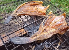 Xếp cá lên vỉ, đem phơi dưới nắng to cho đến khi cá khô cứng lại như những sản phẩm khô thường mua ở chợ là được nhé! Món cá khô khi ăn có thể đem nướng trên bếp than, dùng làm mồi nhấm bia rượu hay trộn gỏi đều tuyệt.