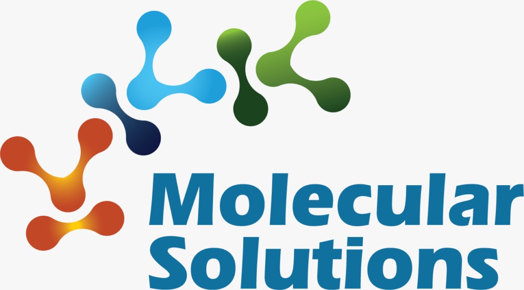 Molecular Solutions Software Pvt Ltd