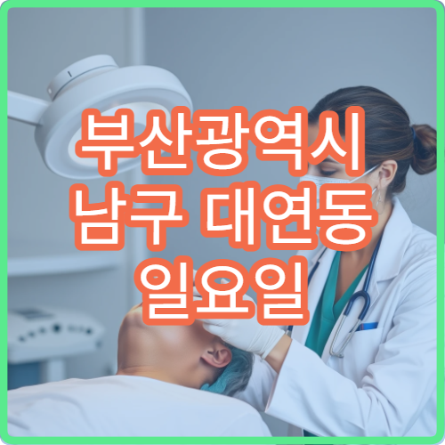 부산광역시 남구 대연동 일요일 충치 치과 진료 정보