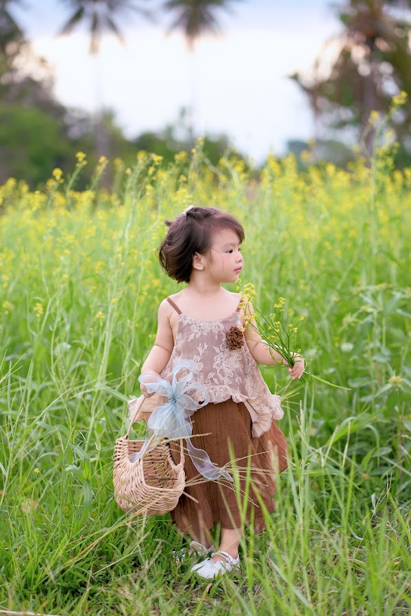 Ảnh bìa album
