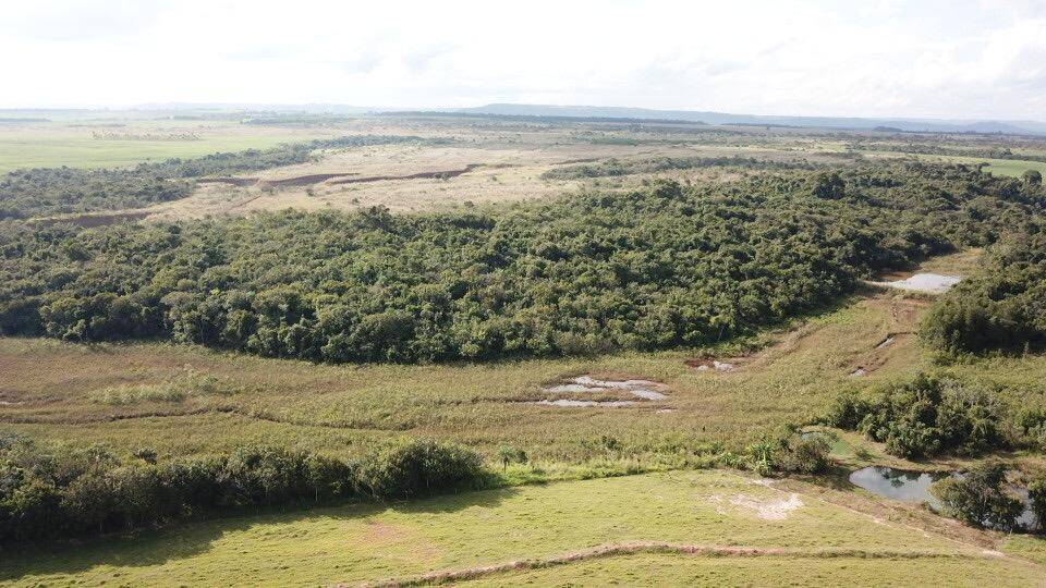 Fazenda em Itumbiara  - GO 4
