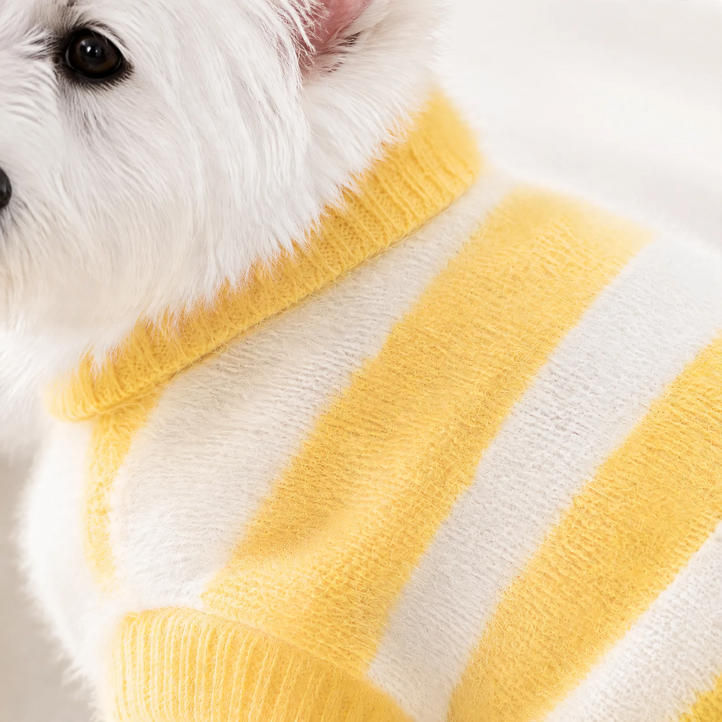 Knitted sweater for pets, sleeved, striped pattern
