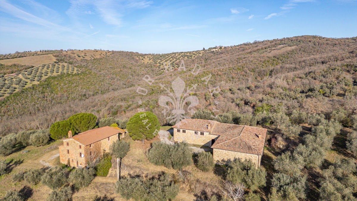 הפוג'יו דגלי אוליבי (Il Poggio degli Ulivi) — 1