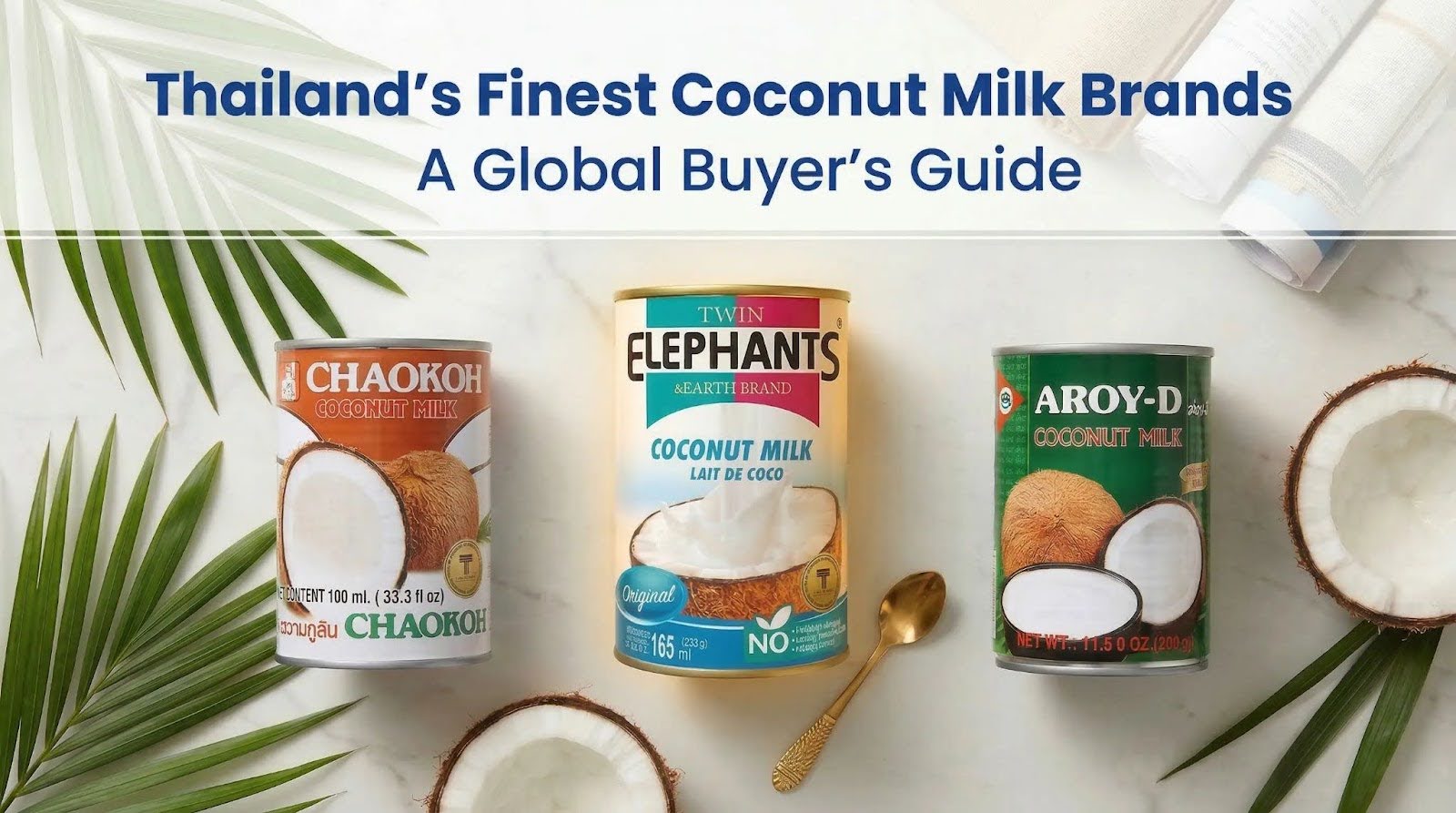 Top Thai Coconut Milk Brands