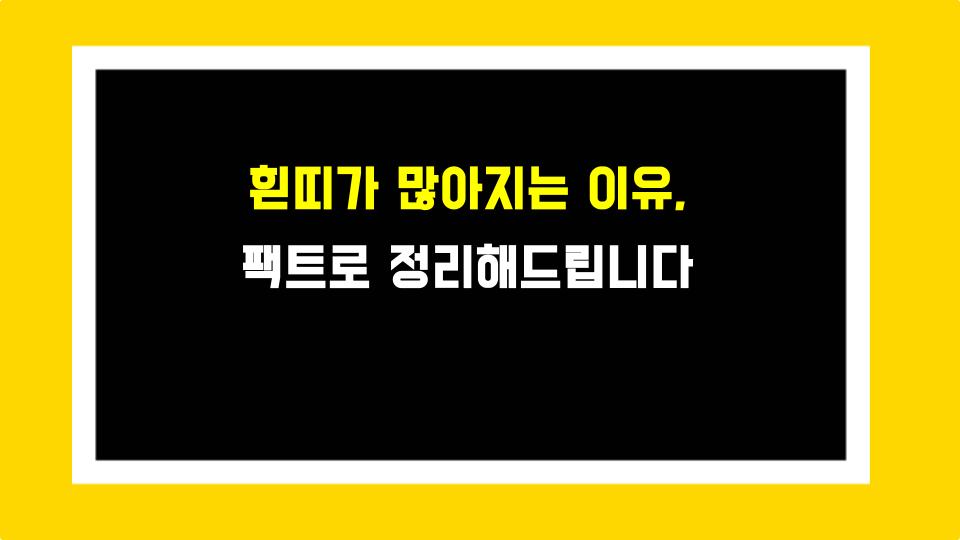 흰띠가 많아지는 이유, 팩트로 정리해드립니다