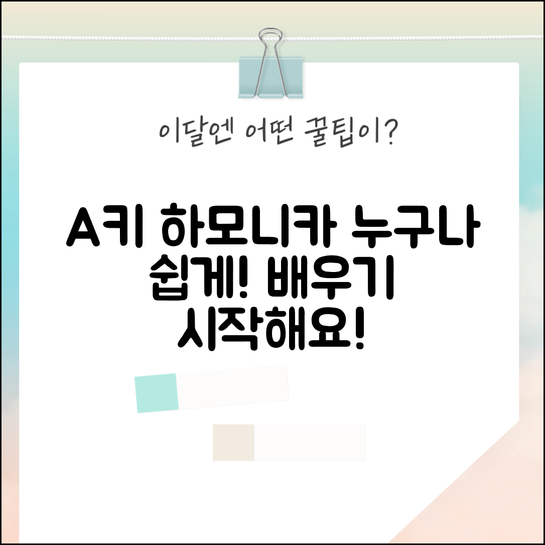 누구나 쉽게 배우는 A키 하모니카 정보
