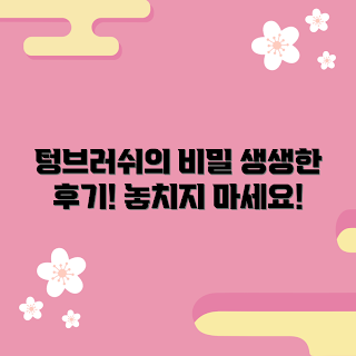 텅브러쉬 정보, 텅브러쉬 사용 경험, 충격적인 텅브러쉬 후기, 텅브러쉬 효과, 텅브러쉬 추천