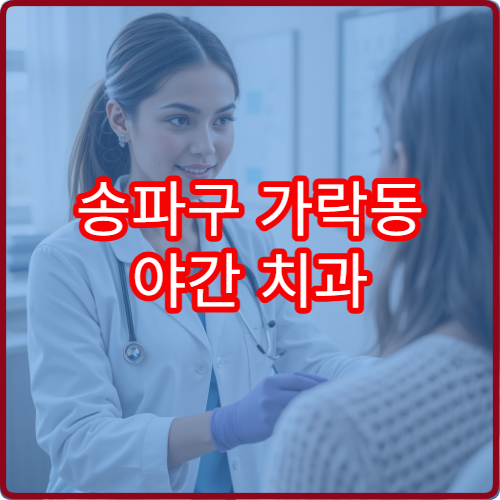 송파구 가락동 야간 치과 진료 가능한 병원 치통 응급 진료 안내
