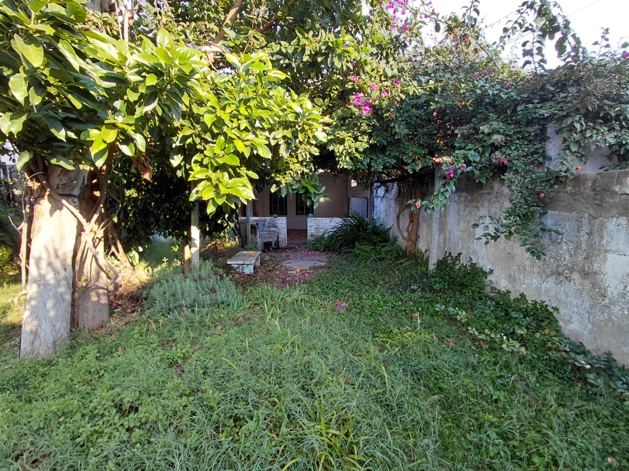 Foto 5