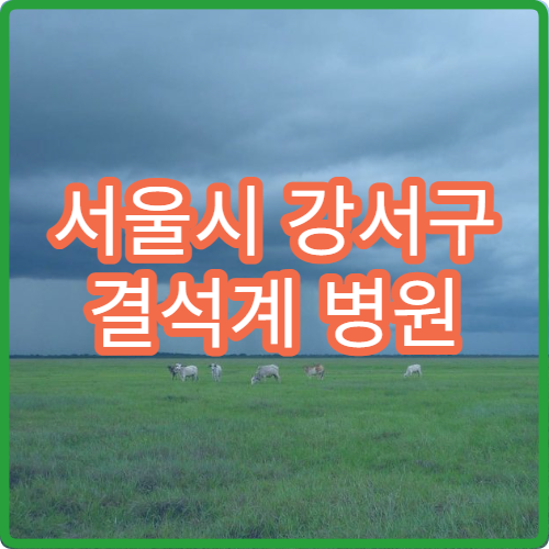 서울시 강서구 결석계 병원 진단서 발급 가능한 병원과 준비 서류 안내