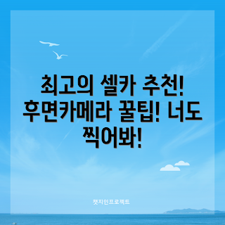 셀카후면카메라 추천, 카메라 성능, 스마트폰 카메라, 베스트 셀카 카메라, 사진 촬영 팁