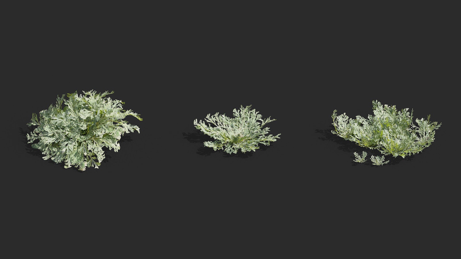 Maxtree - Plant Models Vol.63