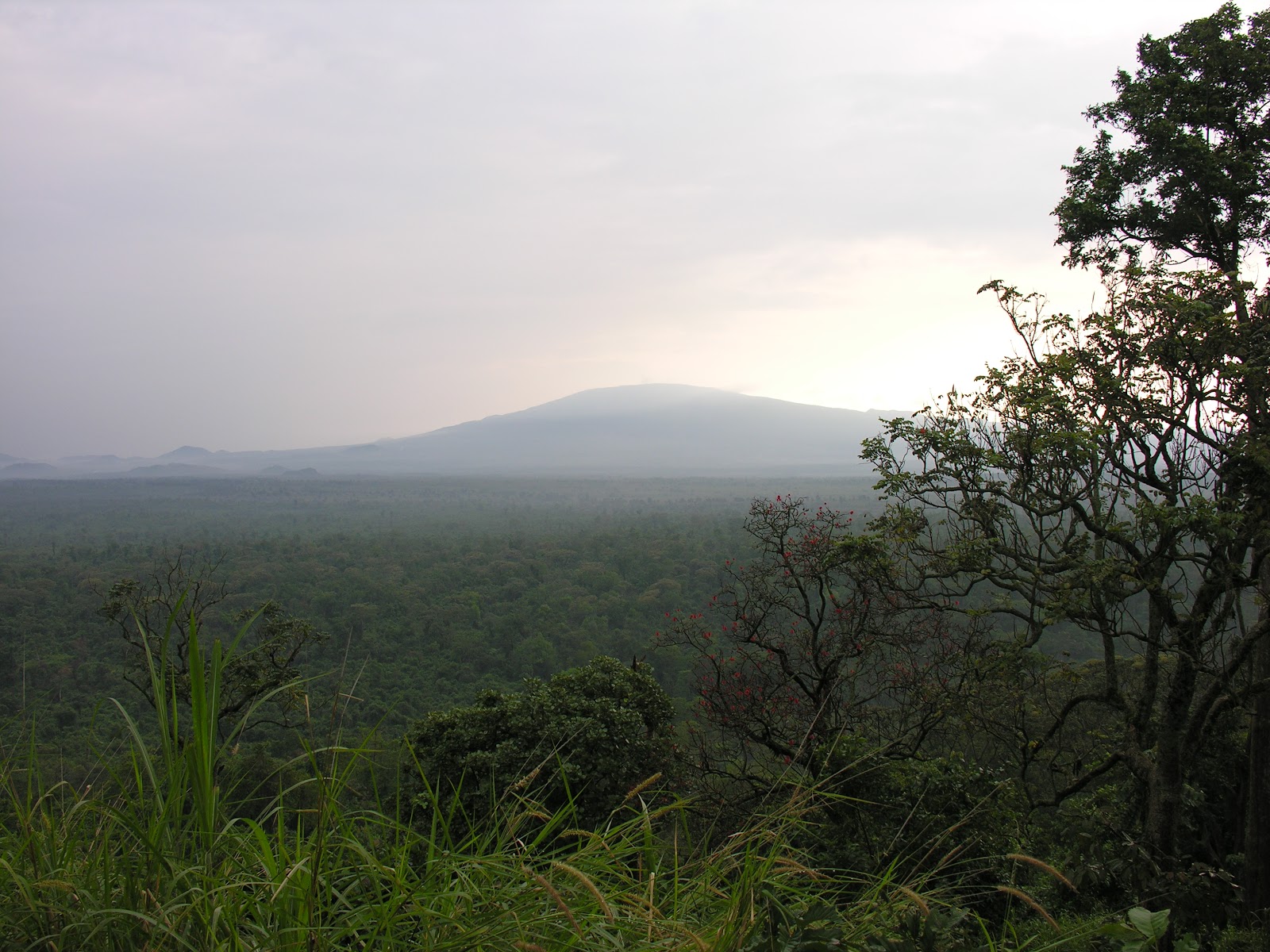 Virunga National Park: Surga Alam dan Warisan Budaya di Kongo