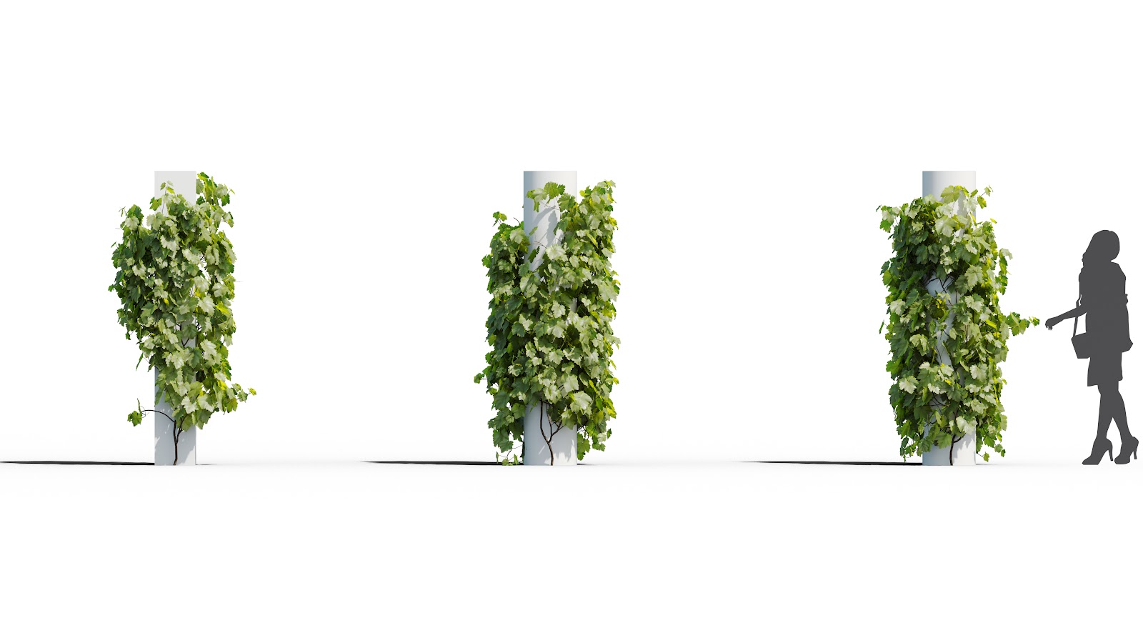 Maxtree - Plant Models Vol.37