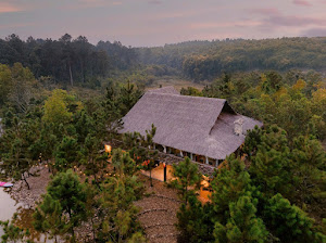 Nguyên khu 9PN – Đảo Bên Rừng, Ba Vì – ảnh 1