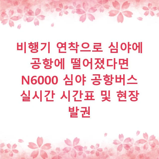비행기 연착으로 심야에 공항에 떨어졌다면 N6000 심야 공항버스 실시간 시간표 및 현장 발권