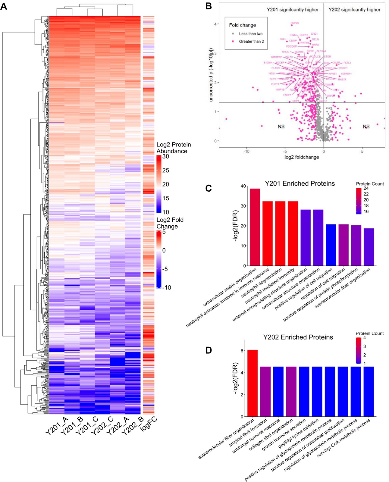 Extracellular vesicle bioactivity and potential for clinical development are determined by mesenchymal stromal cell clonal subtype