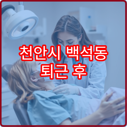 천안시 백석동 퇴근 후 방문하기 좋은 산부인과 야간진료 병원