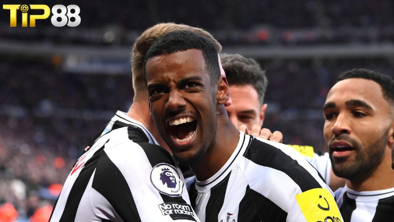 Lịch sử đối đầu Newcastle United vs Fulham