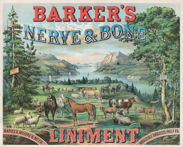 Barkers nerve  bone liniment 1883